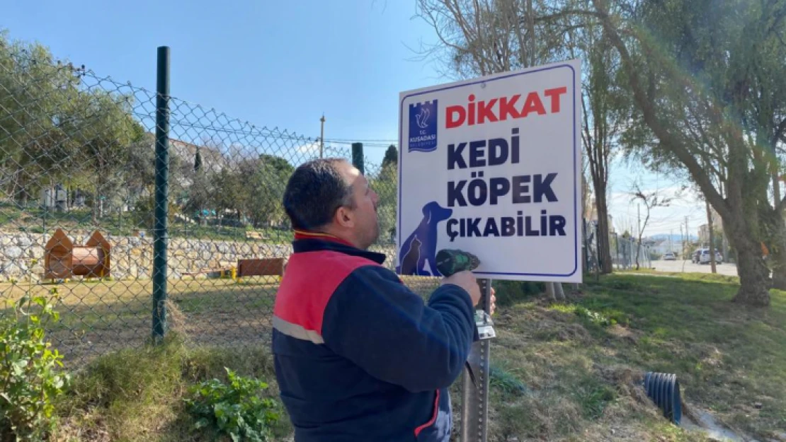 Hayvan dostu Kuşadası Belediyesi'nden örnek bir davranış daha