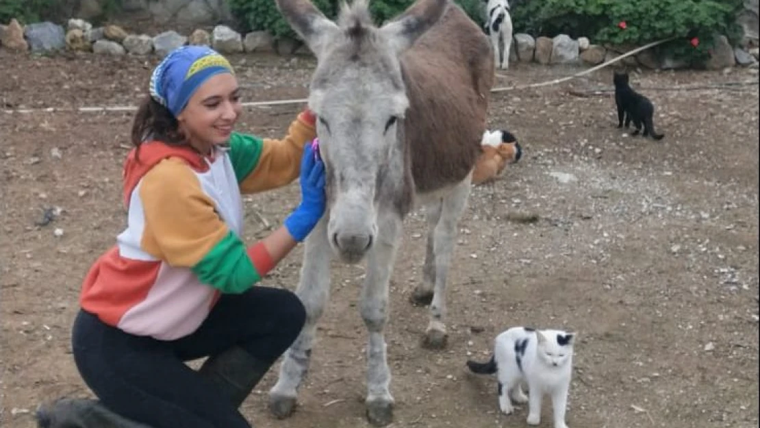 İnci hemşireden 'Pamuk'a yaşam eli