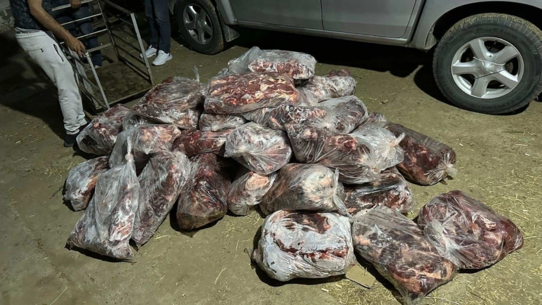 İncirliova'da 1 ton domuz eti ele geçirildi