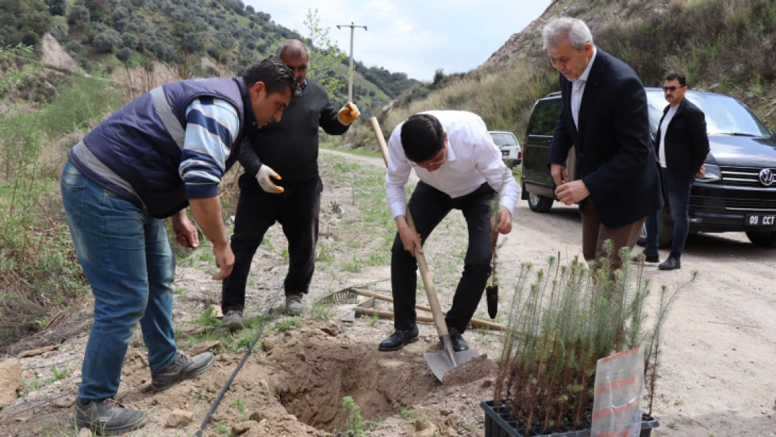 İsabeyli'de 500 fidan daha toprakla buluştu