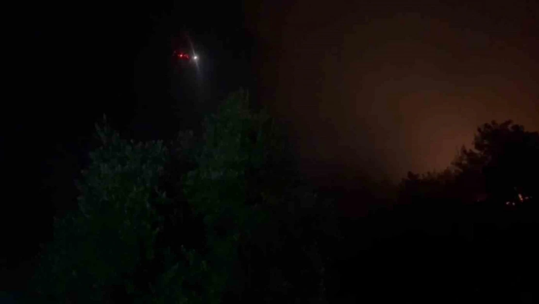 İzmir'de başlayıp Aydın'a sıçrayan orman yangınına gece görüşlü helikopterler ile müdahale ediliyor