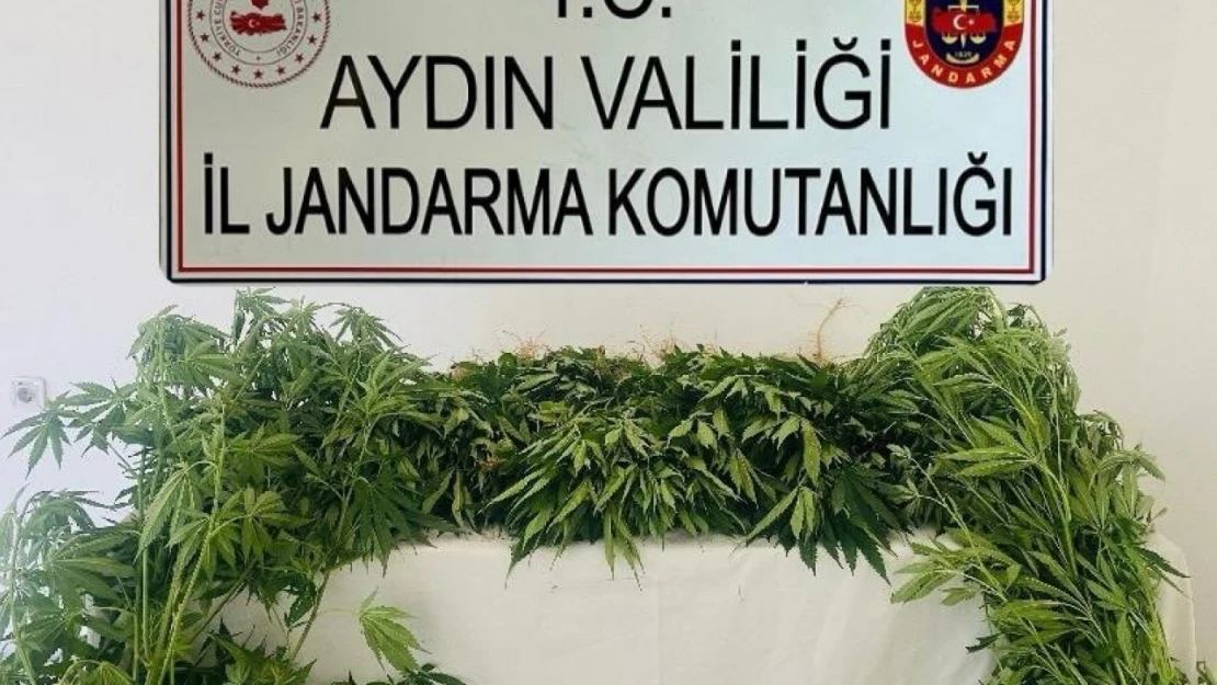 Jandarma ekipleri uyuşturucuya geçit vermedi