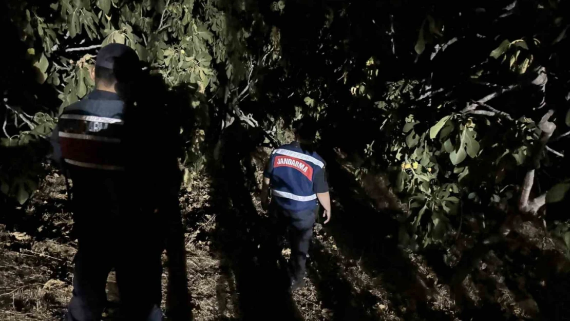 Jandarma, incir hırsızlarına geçit vermiyor