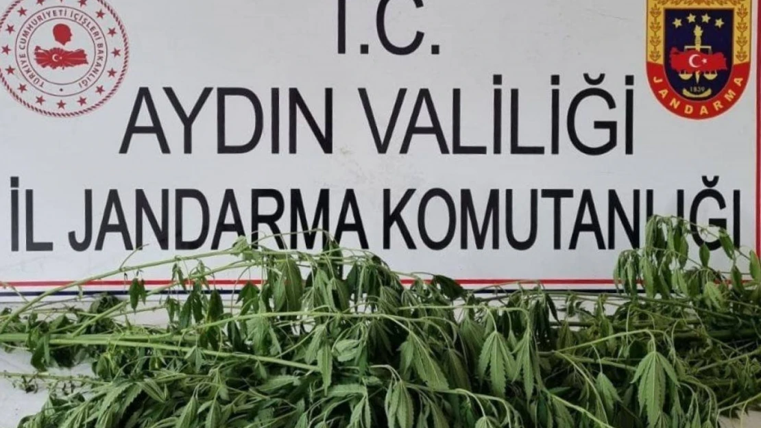 Jandarma uyuşturucuya geçit vermiyor: 5 gözaltı