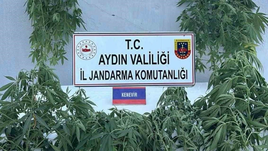 Jandarmada uyuşturucu operasyonu: 16 gözaltı