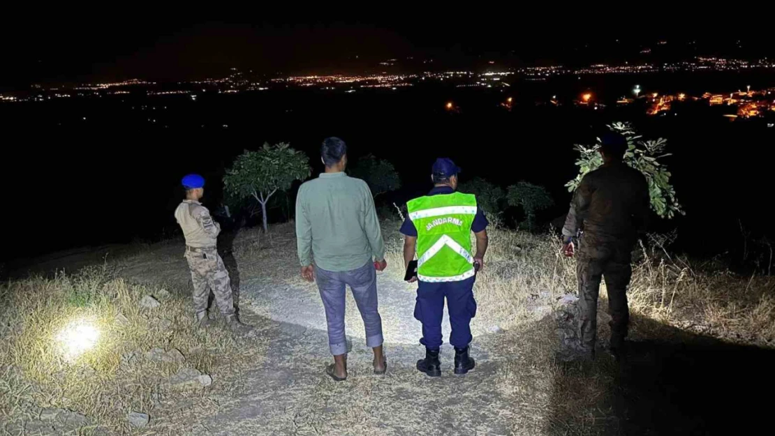 Jandarmadan 'incir hırsızı' nöbeti