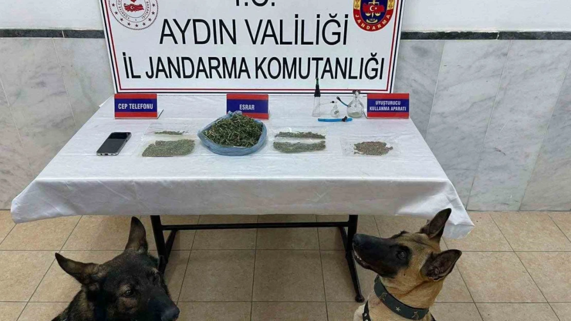 Jandarmadan uyuşturucu operasyonu: 22 yakalama