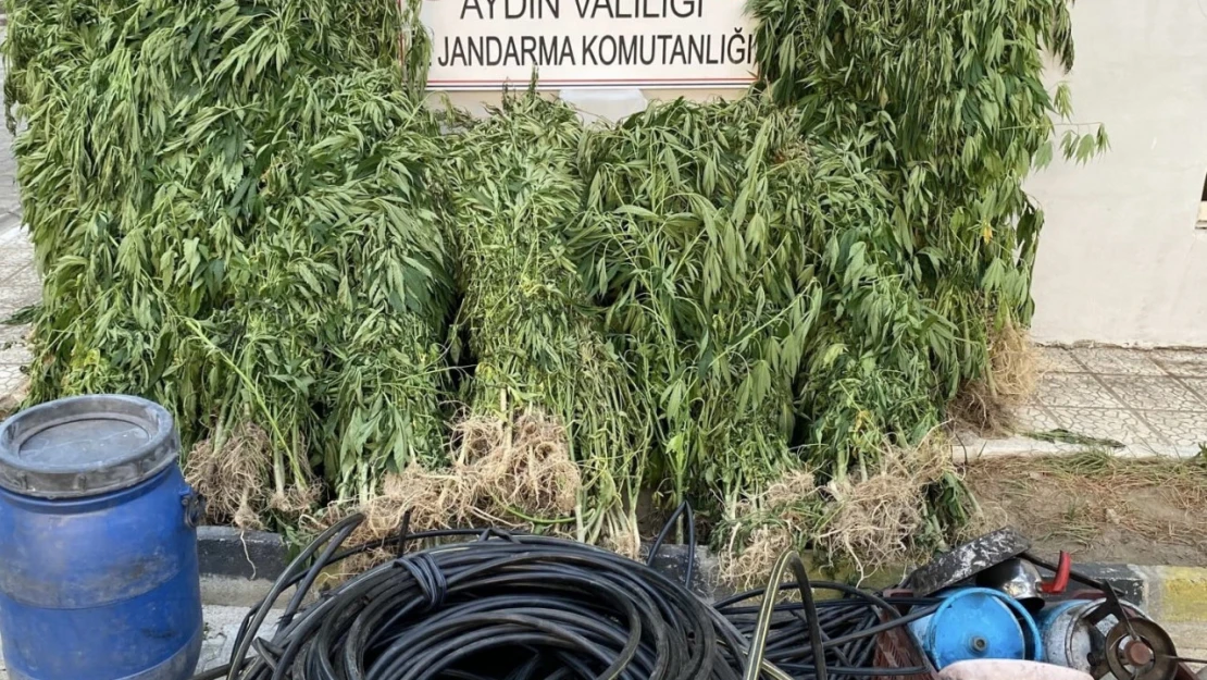 Jandarmadan uyuşturucu operasyonu: 17 yakalama