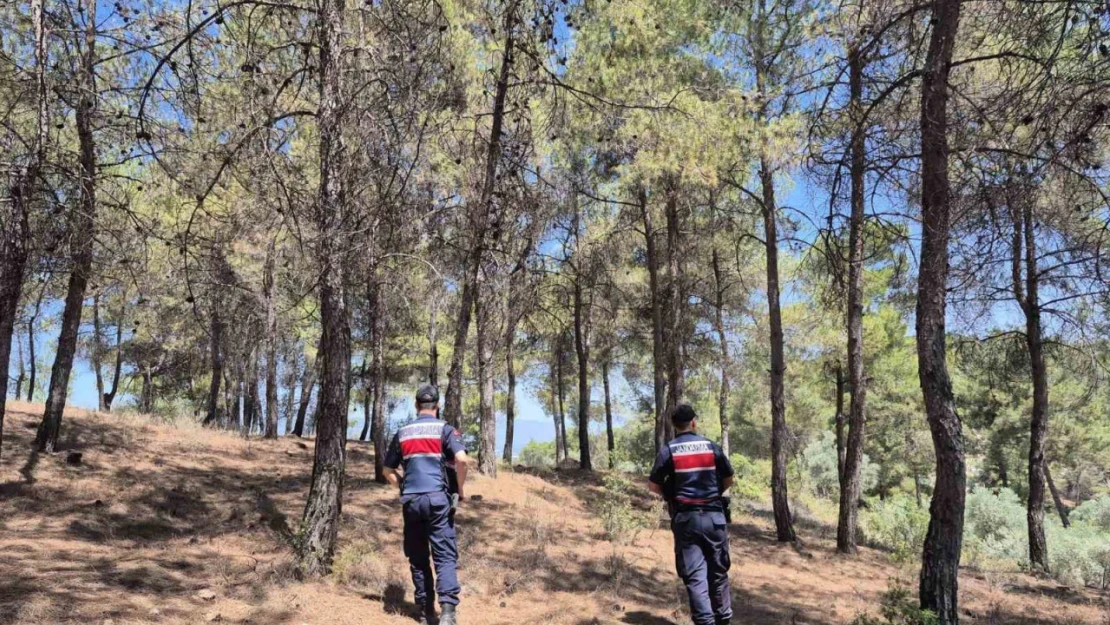 Jandarmanın 'orman' nöbeti aralıksız devam ediyor