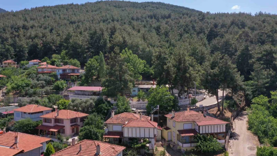 Karacasu Belediyesi'nden yangın uyarısı: 'Bir kıvılcım, bir felakete sebep olabilir'