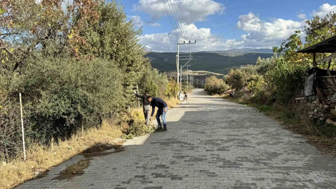 Karacasu'da mahalleler temizleniyor