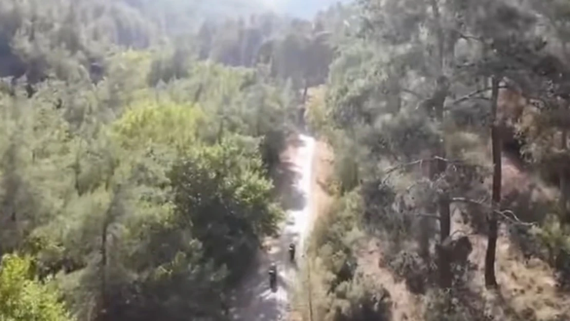 Karacasu'da orman yangıları için kaymakamlıktan uyarı