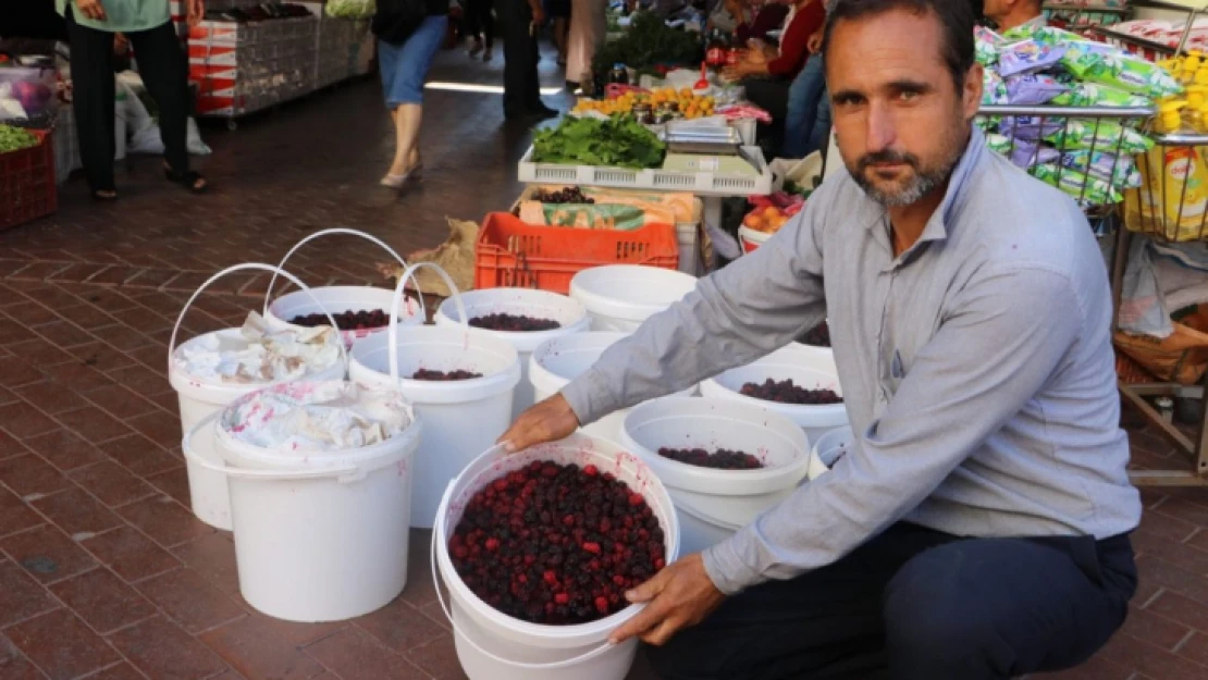 Karadut pazar tezgahlarını renklendirdi