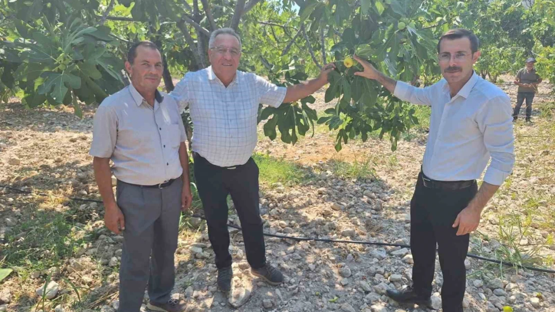 Kaymakam Polat, incir üreticileriyle bir araya geldi