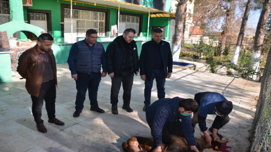 Kilis Belediyespor için adak kurbanı kestirdi