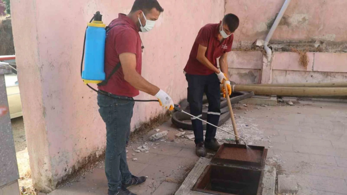 Koçarlı Belediyesi, haşereyle mücadele çalışmalarını sürdürüyor