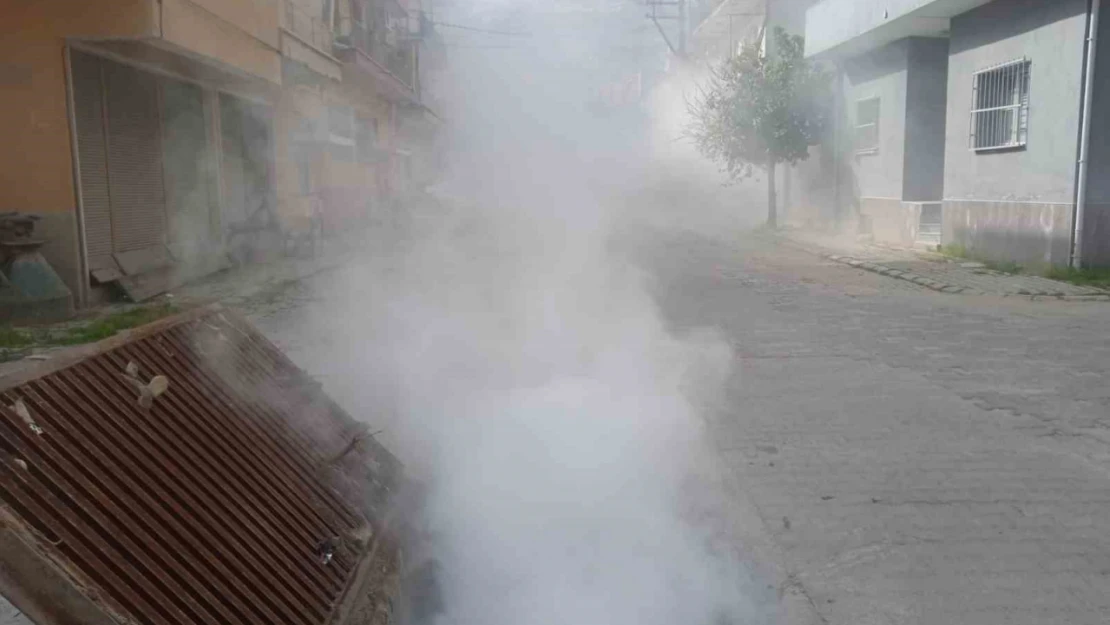 Koçarlı Belediyesi'nden haşere ve yabani otlara erken müdahale