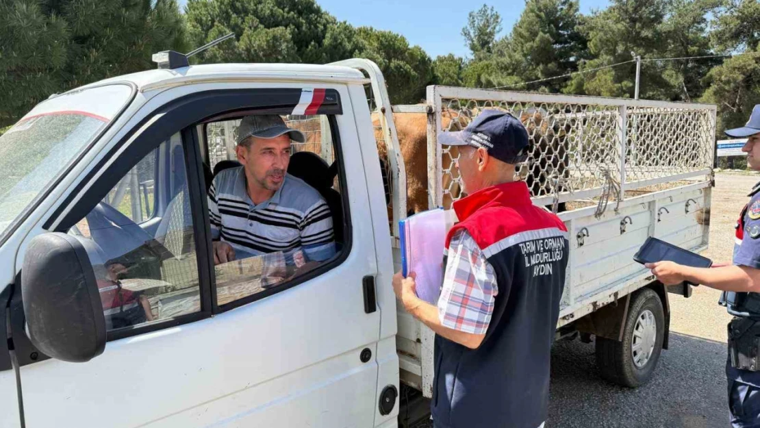 Koçarlı'da canlı hayvan nakil araçları denetlendi