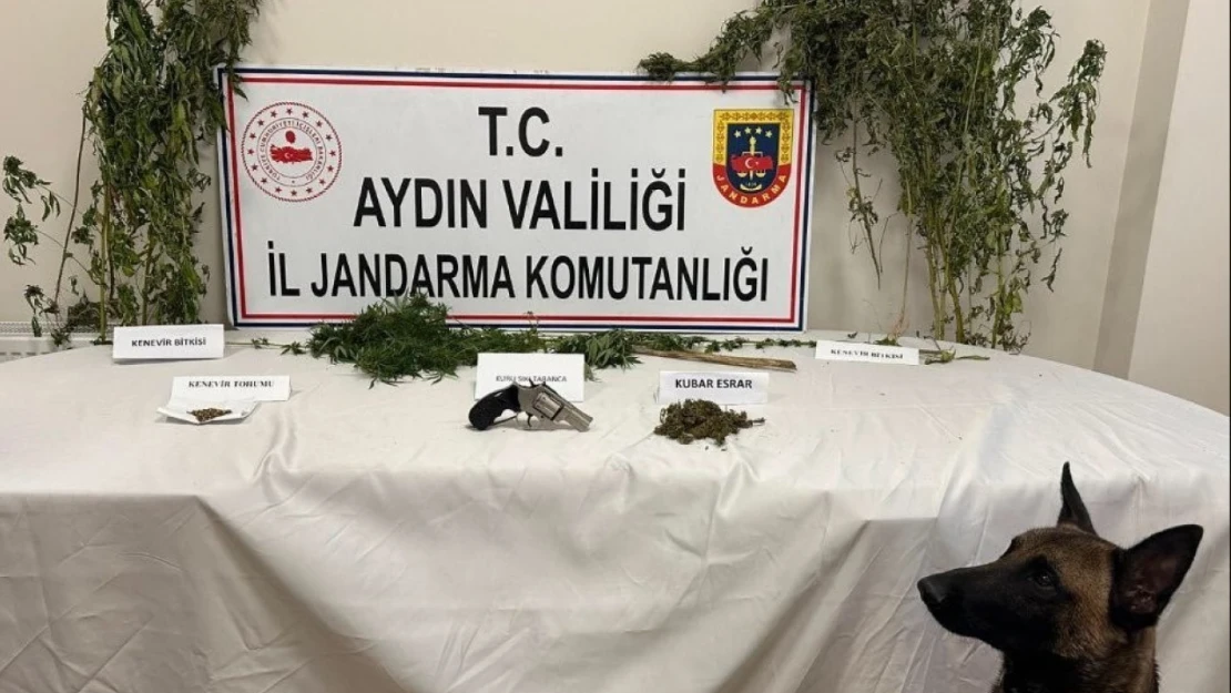 Koçarlı'da uyuşturucu baskını: 1 gözaltı