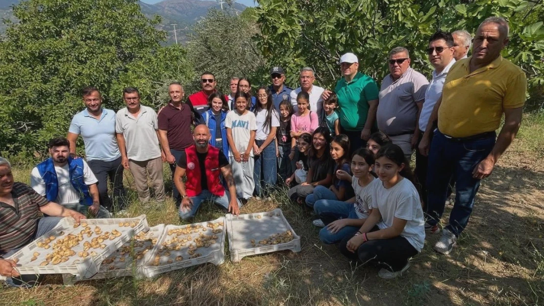 Köşk'te gönüllü hasat şenliği gerçekleştirildi