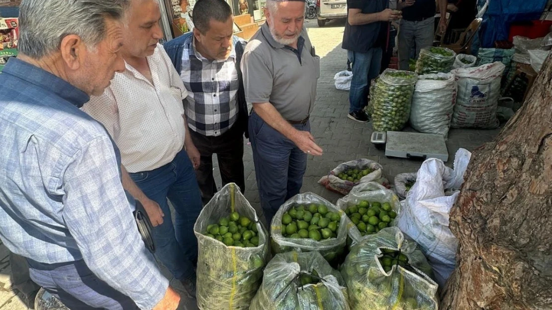 Köşk'te ilek pazarında denetim gerçekleştirildi