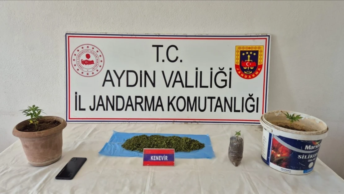 Köşk'te uyuşturucu baskını: 1 gözaltı
