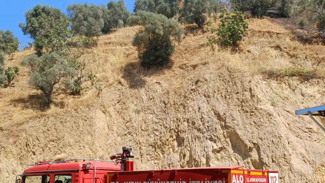 Köşk'teki zirai alan yangını kontrol altına alındı