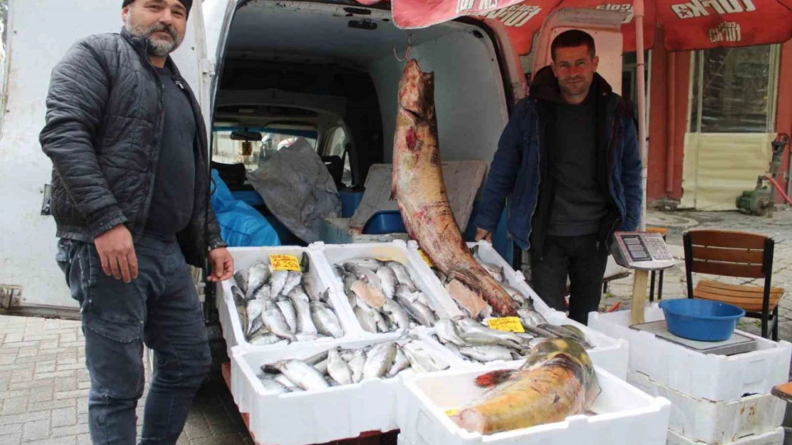 Kuraklık, barajlardaki balık popülasyonu etkiledi