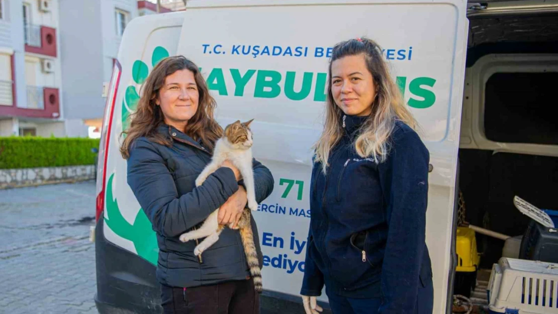 Kuşadası Belediyesi'nin Haybulans'ı 78 bin hayvana müdahale etti