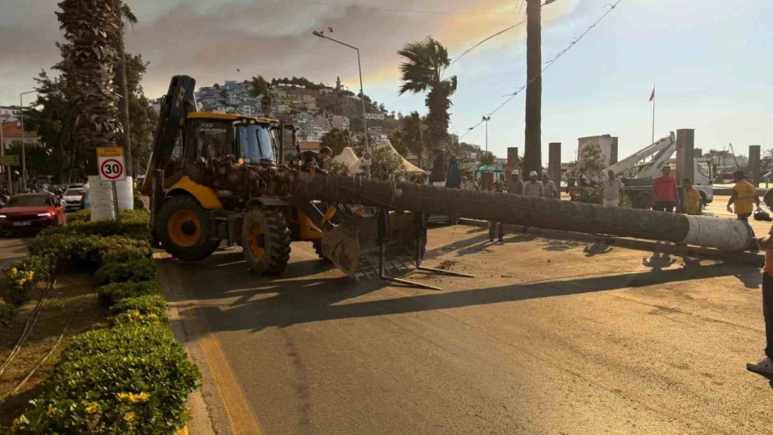 Kuşadası'nda devrilen ağaç ekiplerin müdahalesiyle kaldırıldı