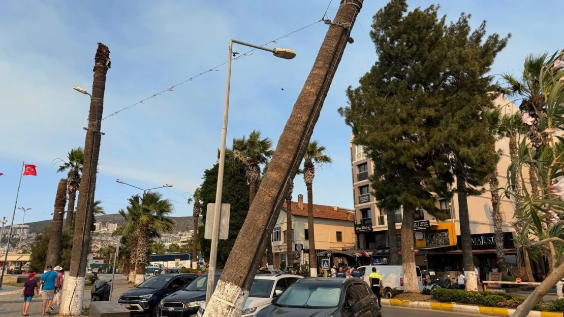 Kuşadası'nda faciaya ramak kaldı