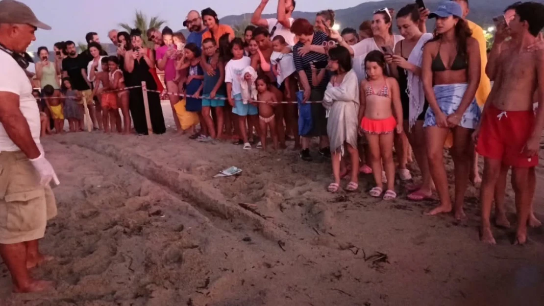 Kuşadası'nda koruma altındaki yuvadan ilk yavrular denize ulaştı