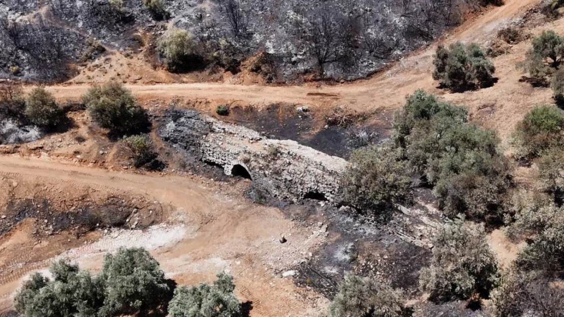 Kuşadası'ndaki orman yangınında antik su kemeri zarar gördü