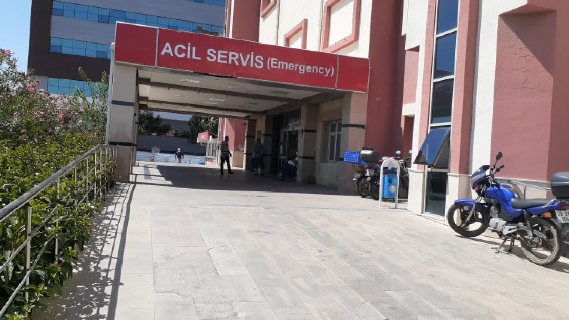 Kuzenlerin tarla kavgasında kan aktı