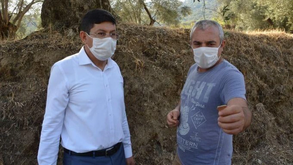 Mastaura, 2020 yılının en önemli keşfi oldu