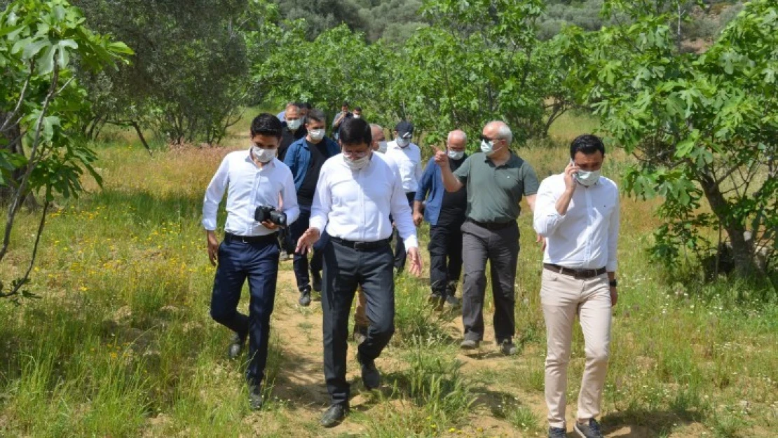 Mastaura Antik Kenti, gün yüzüne çıkmaya devam ediyor