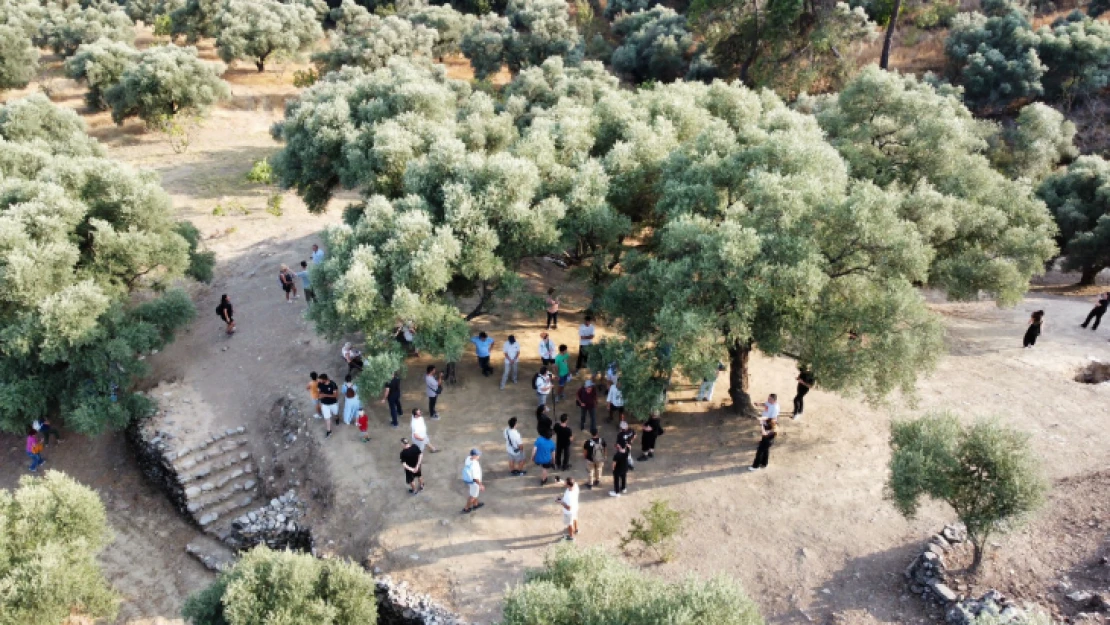 Mastaura Antik Kenti ülke genelinde büyük ses getiriyor