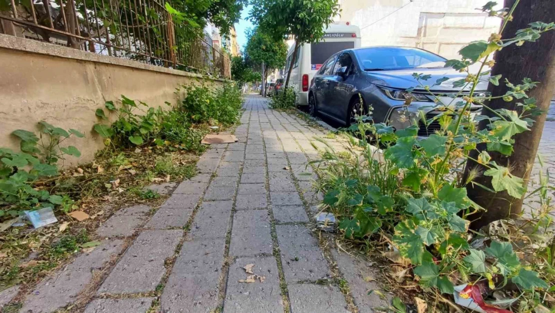 Mera değil Efeler'in merkez mahallesi