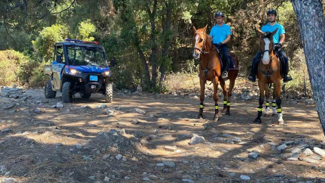 Milli Park'ta yasak bölgeye giren 5 kişiye para cezası uygulandı