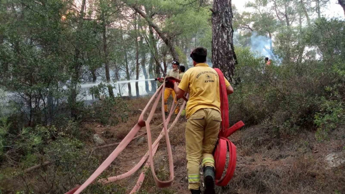 Muğla alevlere teslim oldu, Çine-Yatağan arası çift yönlü olarak trafiğe kapatıldı