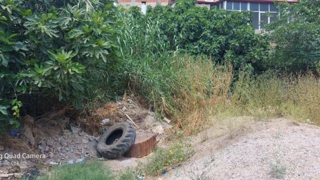 Muhtar Certel, temizlik işlerine teşekkür etti