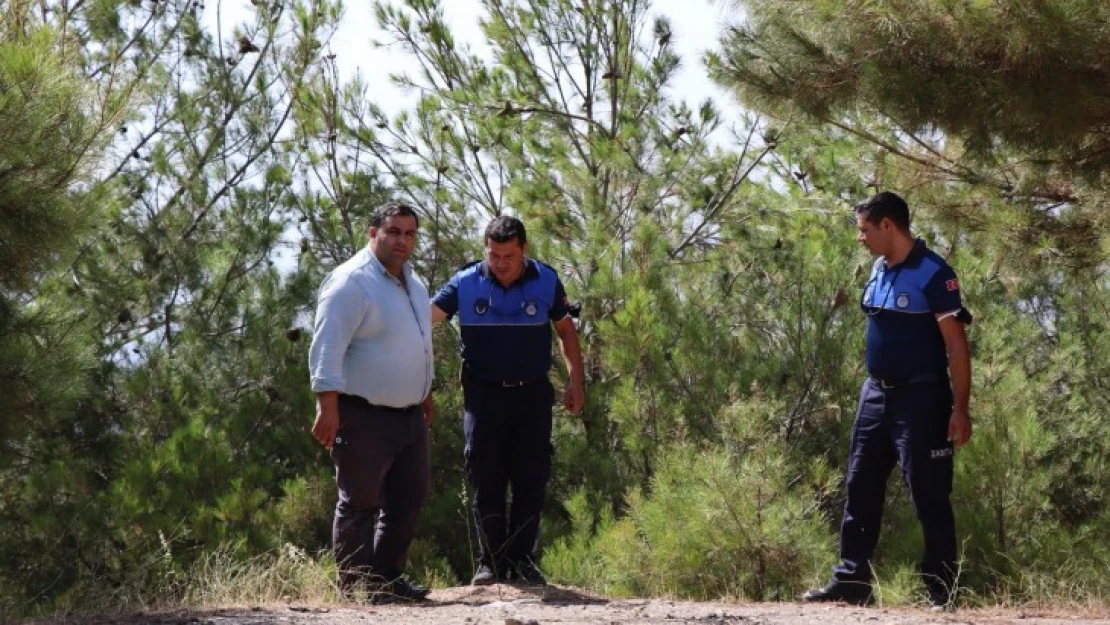 Nazilli Belediyesi kırsalda denetimlere devam ediyor