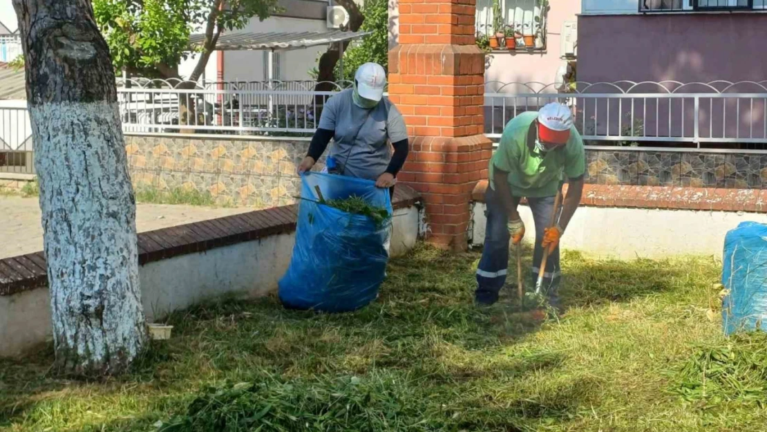 Nazilli Belediyesi'nden parklarda temizlik seferberliği