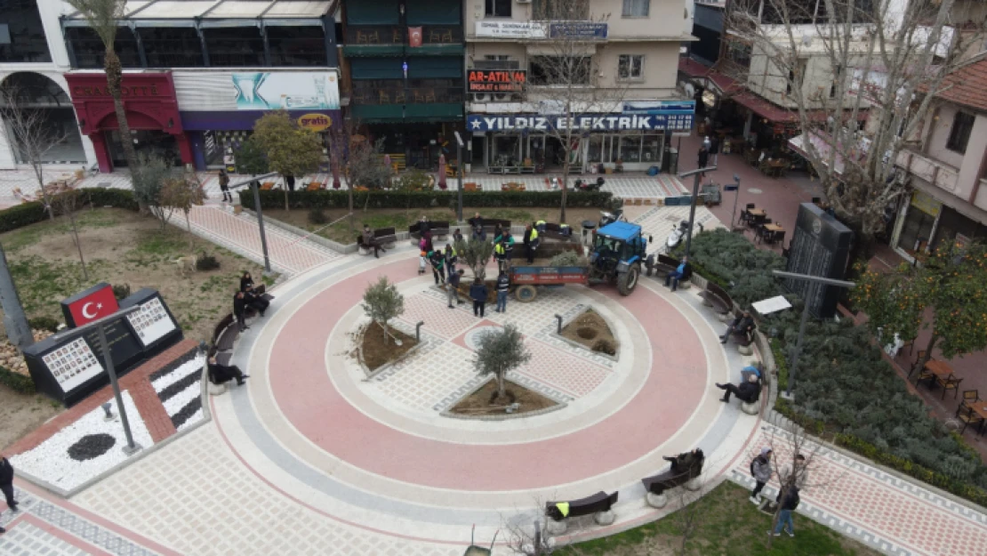 Nazilli Belediyesi'nden 'zeytinime dokunma' çağrısı