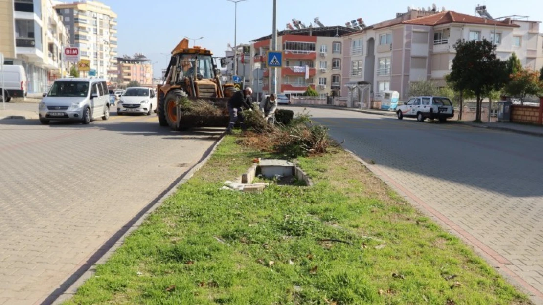 Nazilli çiçek gibi oluyor