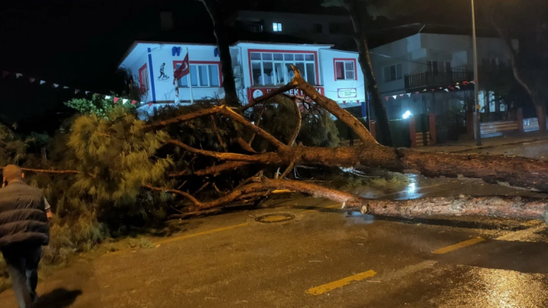 Nazilli'de bilanço belli oldu