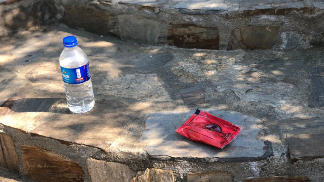 Nazilli'de fare zehri içen kadın, parkın ortasında ölmeyi bekledi