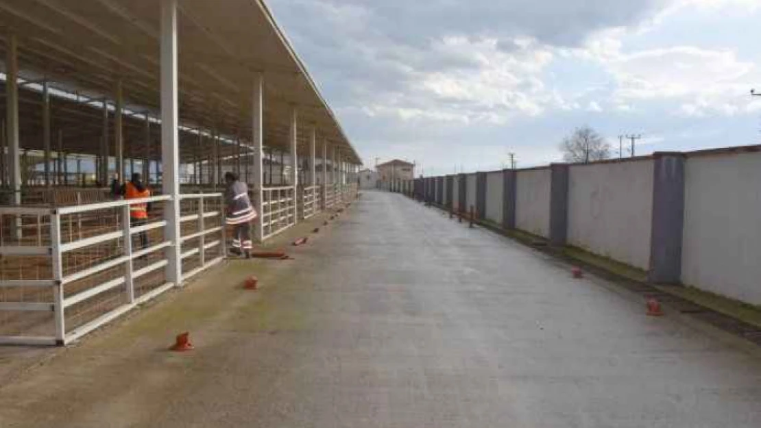 Nazilli'de hayvan satış yasağı kalktı