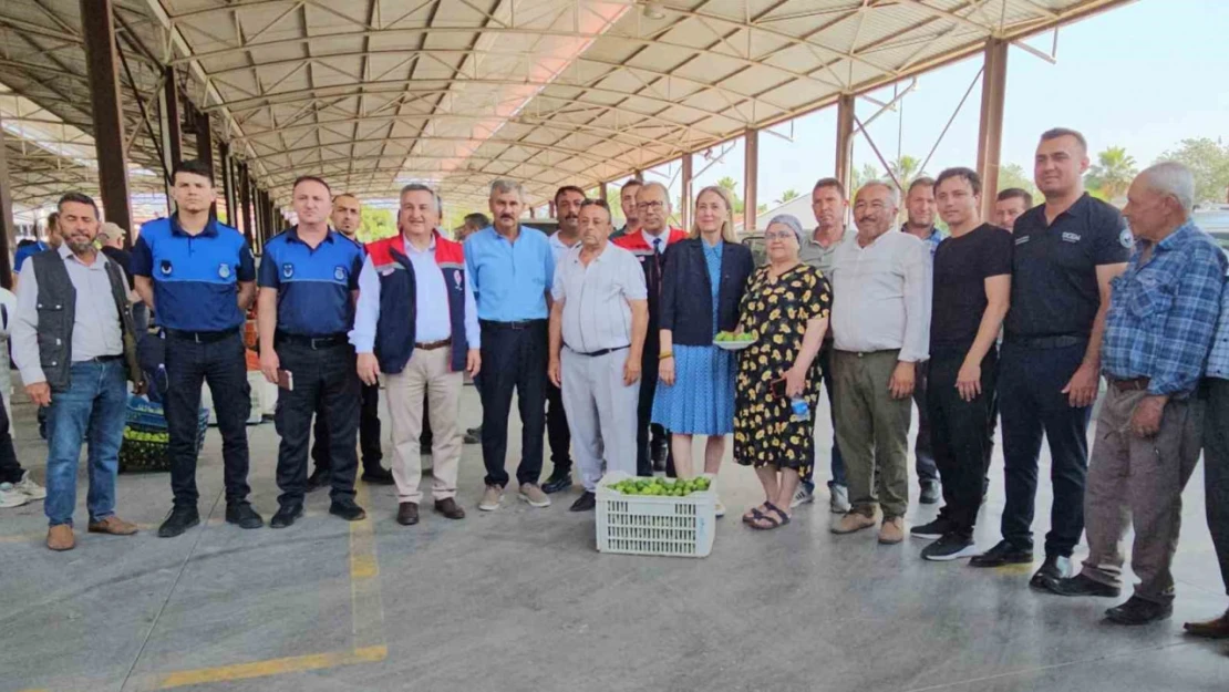Nazilli'de kaliteli incir için kaliteli ilek denetimleri sürüyor