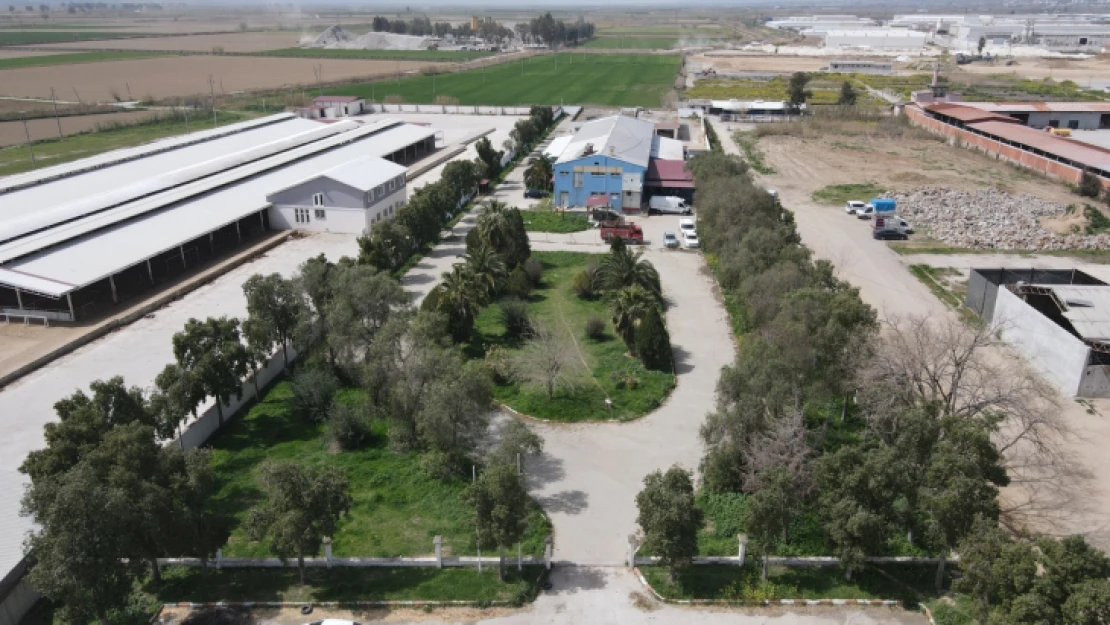 Nazilli'de kurban kesim fiyatları açıklandı